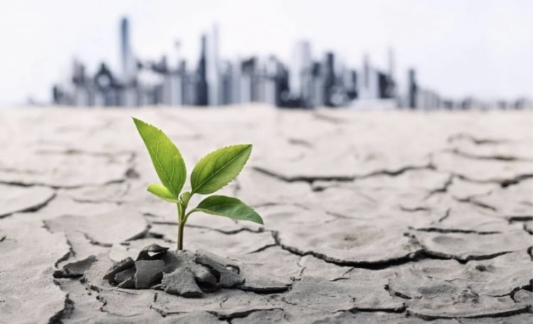 Сохраняя планету: Экологические вызовы и инновационные решения для устойчивого будущего
